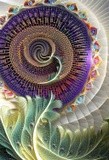 by John H. R. Pieper