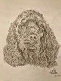 by Ariella Belau