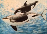 by Candy (Amanda) Christofferson (Meester)