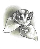 by Candy (Amanda) Christofferson (Meester)