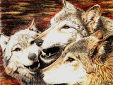 by Gayle Taylor