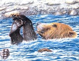 by Gayle Taylor
