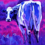 by connie van winssen