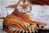 by connie van winssen