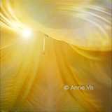 by Anne Vis