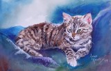 by Anne Kelty