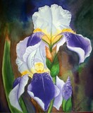by Tanya Antimirova