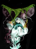 by francis nunes