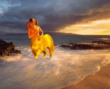 by Laurie Brookes