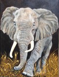 by Bev                  Chudey