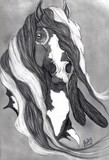 by Leah Jaarveth