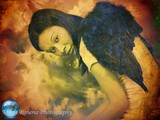 by Vilma Rohena