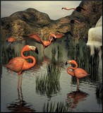 by Lisa Weber
