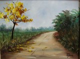 by Adriana Bucci Dinamarco