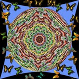 by Terry Harris