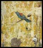 by dolan geiman