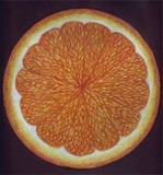by Heather Warfield