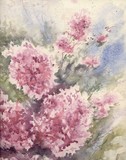 by Vicki Lerfald