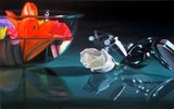 by Roderick Stevens