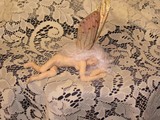 by Kathleen  Wilson