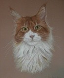 by Joanne Simpson-Connor