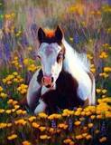 by Patti Jo 