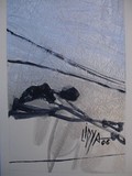 by Lidya Aagia Tchakerian