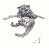 by Michelle Taylor