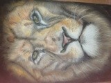 by jay dawn
