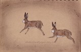 by Deb Foster