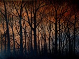 by Tricia Newell