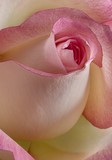 by Greg Summers