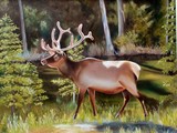 by Sandy Dewar