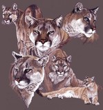 by Barbara Keith