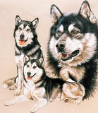 by Barbara Keith