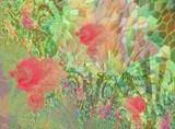 by Minnie Shuler