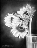 by Diane Greenhorn