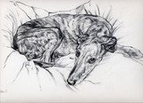 by Sally Holland