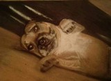 by joanne nash