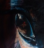 by els boedts