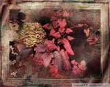 by Stefani Wehner