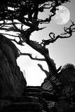 by Winthrope Hiers