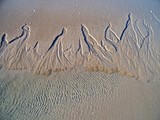 by rasa 