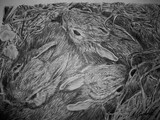 by Cindy Swinehart