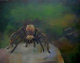 by Kathy Schoeppner