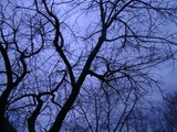 by freeze lullaby