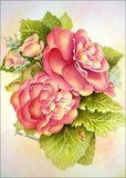 by Jan Howlett