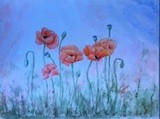 by Patricia Elgee