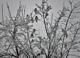by Debra Kott