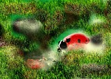 by jagriti kishore